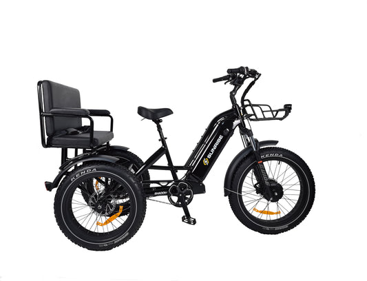 Shadow eTricycle
